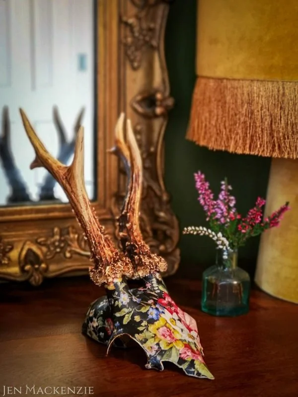 Velveteen - Image 8