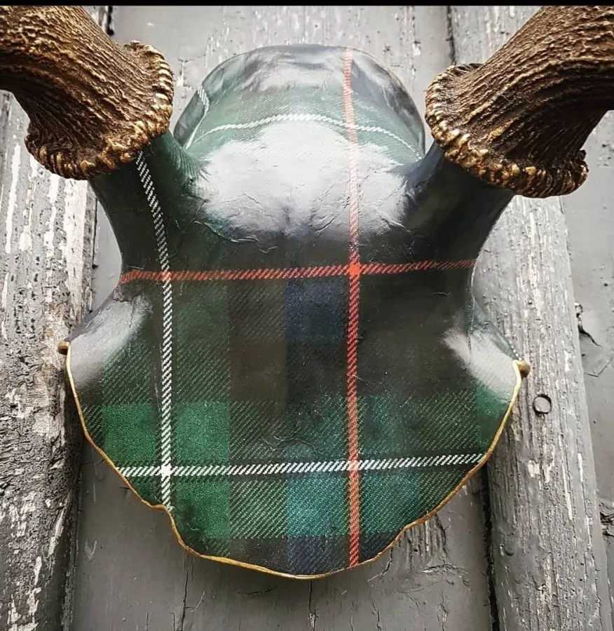 Tartans Galore! - Image 2
