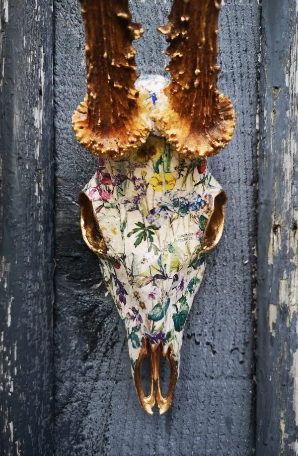 Wild Flowers - Image 5