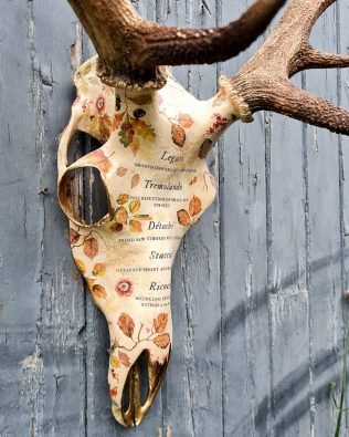 Antler wall decor musical theme