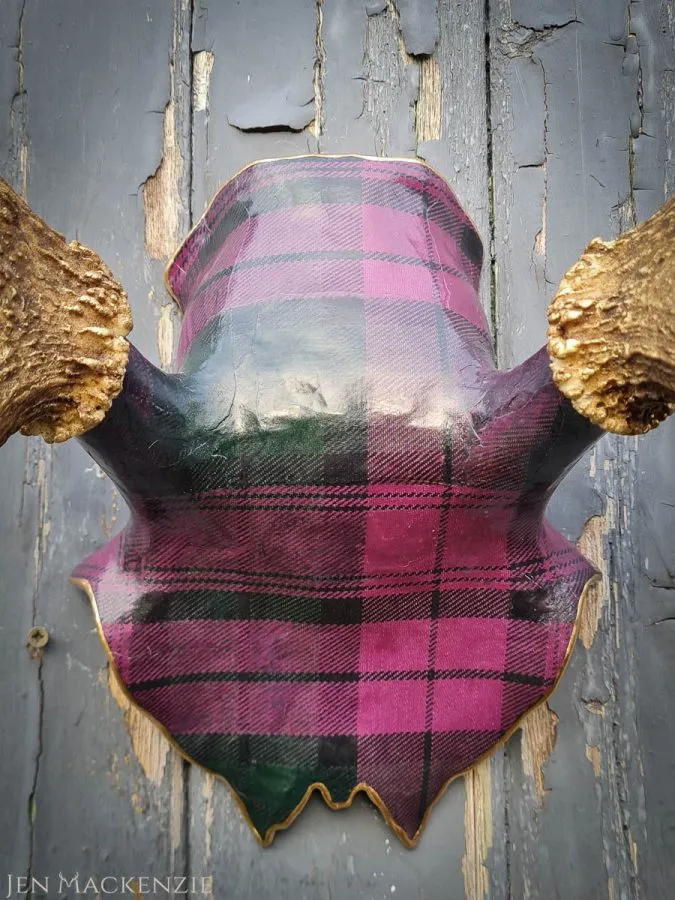 Tartans Galore! - Image 6