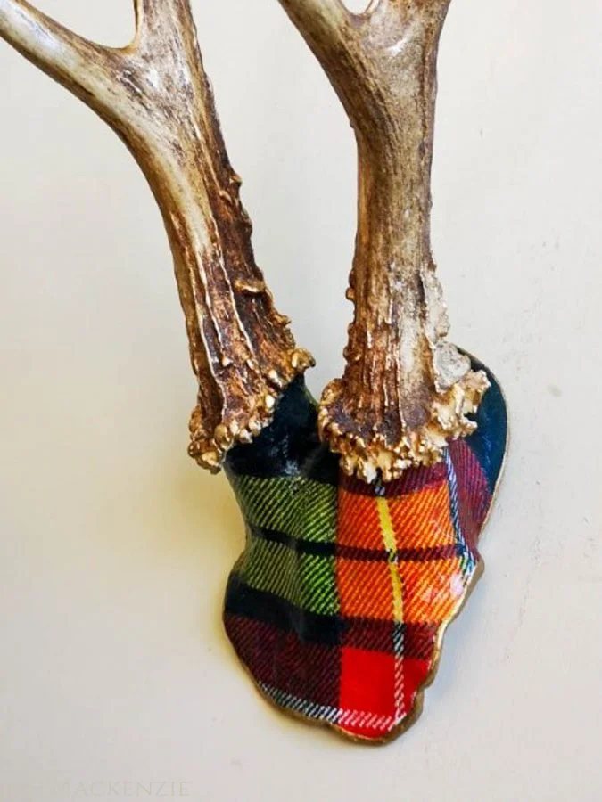 Tartans Galore! - Image 10