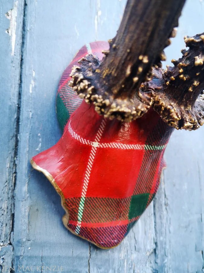 Tartans Galore! - Image 11