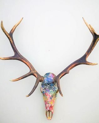 Red Stag antler wall decor