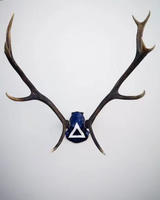 Scots Dragoon Guards - 'A' Company