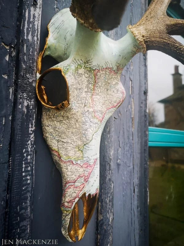 Caithness Full Skull - Image 2