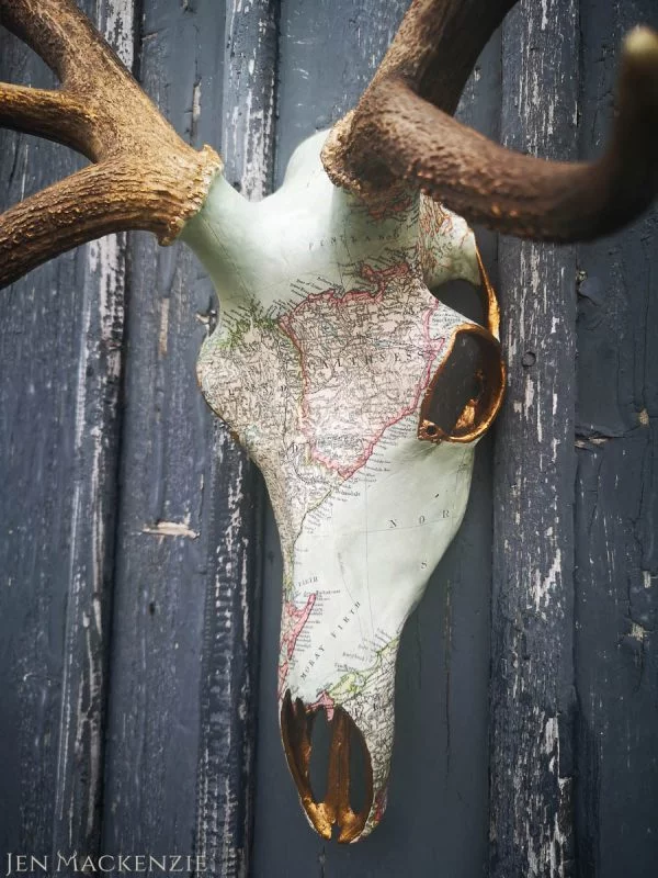 Caithness Full Skull - Image 3