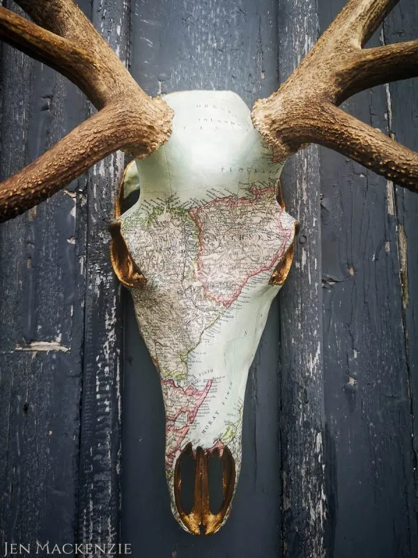 Caithness Full Skull