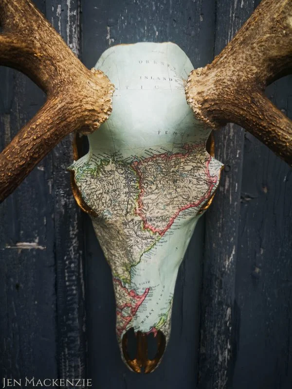 Caithness Full Skull - Image 4