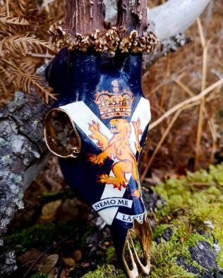 a roebuck skull decorated with the SCOTS capbadge