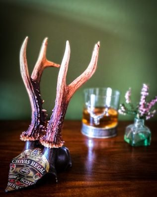 A beautiful Chivas Regal original whisky label decoupaged onto a set of stunning real roebuck antlers. Perfect for a whisky collector!