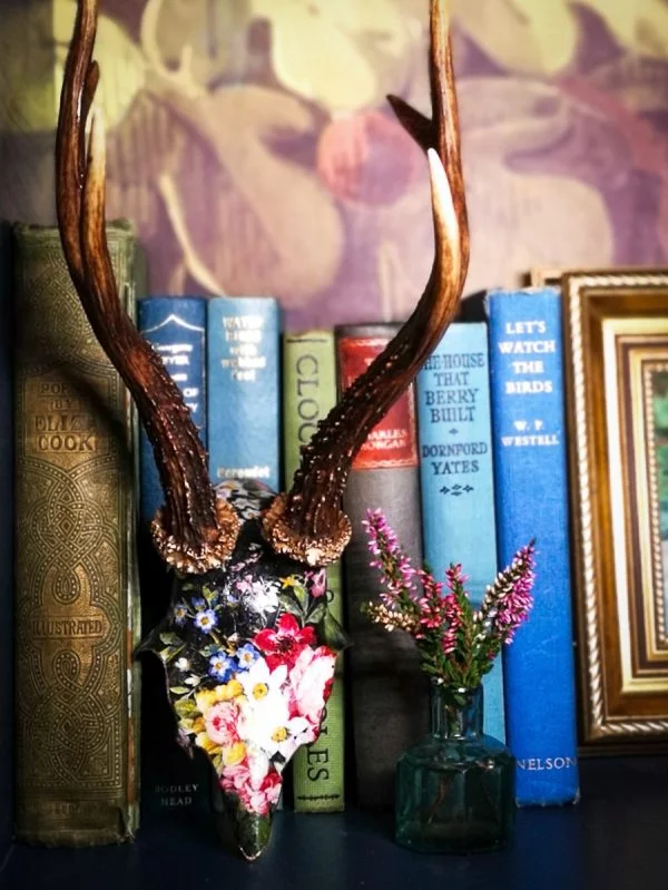 Velveteen - Image 9