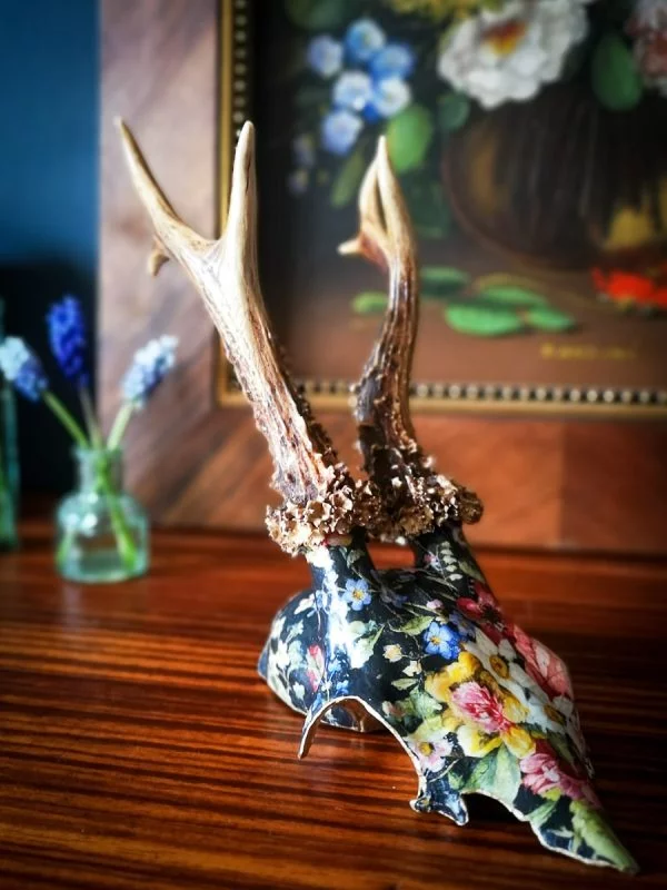 Velveteen - Image 6