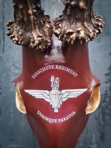 Roebuck antlers with the Parachute Regiment insignia