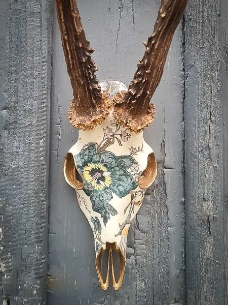 Artemis "Off White" - Image 2
